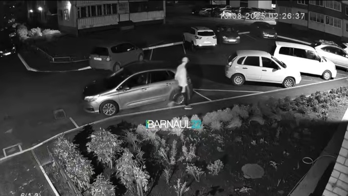 Подозреваемый / Фото: кадр с камеры видеонаблюдения "Барнаул 22"