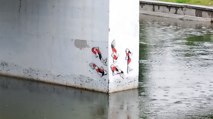 Мозаичные рыбки в 