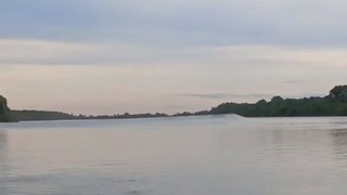 Берег реки обрушился в реку на Алтае / Фото: кадр из видео 