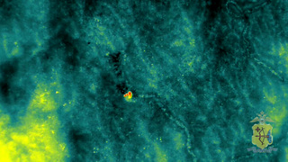 Мужчина в лесу / Фото: кадр из видео УМВД по Кировской области