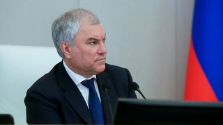 Вячеслав Володин / Фото: duma.gov.ru