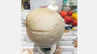 Гриб-дождевик / Фото: Аст-54      