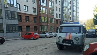 Дом на Павловском тракте / Фото: amic.ru