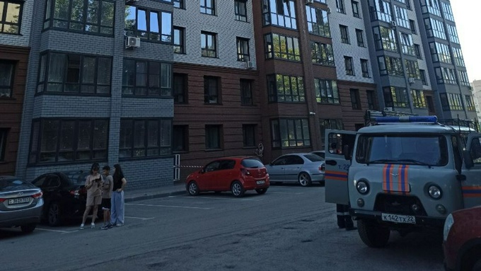 Дом на Павловском тракте / Фото: amic.ru