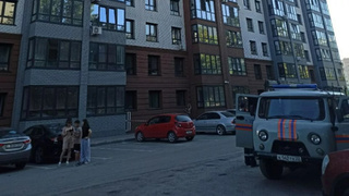 Дом на Павловском тракте / Фото: amic.ru