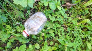 Фото: СУ СКР по Алтайскому краю  