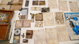 Содержимое капсулы / Фото: Great Ormond Street Hospital for Children