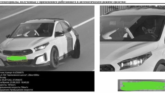 Собака за рулем автомобиля в Москве / Источник фото: "Москва сегодня"