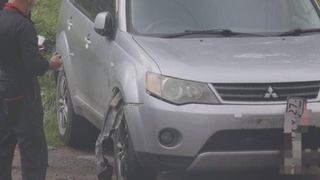 Стая собак частично разобрала кроссовер / Источник фото: Amur Mash