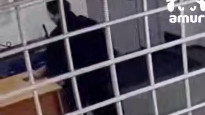 Жительница Камчатки обворовала человека / Кадр из видео: Amur Mash