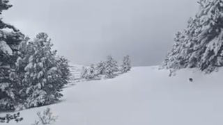 Сентябрьский снег запечатлели на Алтае / Кадр из видео: "Свежести"