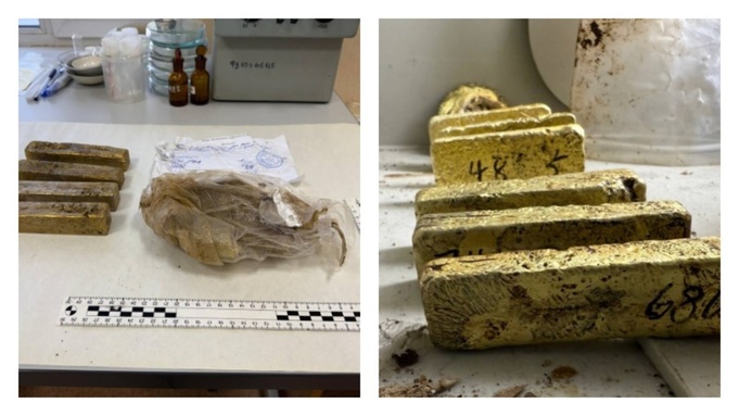 Золото на 264 миллиона пытался вывезти иностранец из России / Источник фото: телеграм-канал ФТС России