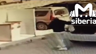 Водитель выбросил котят в мусорный контейнер в Бердске / Кадр из видео: Mash Siberia                   