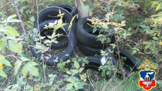 Украденные шины / Фото: 22.мвд.рф