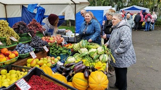 Ярмарки в Барнауле / Фото: мэрия города