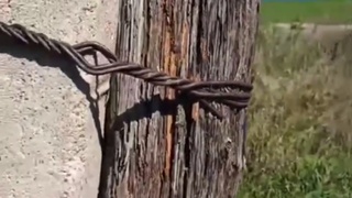 Жители поселка Мирный могут остаться без света / Кадр из видео: 