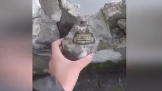 Разрушенный фасад библиотеки / Кадр из видео: "Инцидент Барнаул"