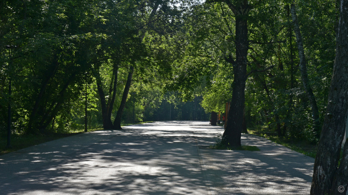 Парк "Юбилейный" / Фото: мэрия Барнаула      