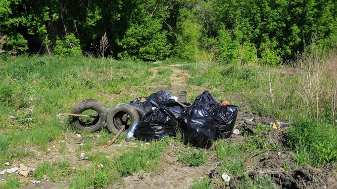 Мусор в лесу в Барнауле / Фото: amic.ru