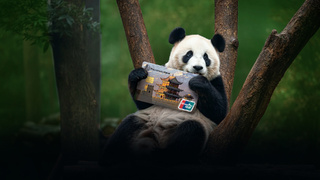 Панда с картой / Фото: пресс-служба Россельхозбанка