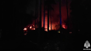 Пожар в новосибирском зоопарке / Фото: МЧС России