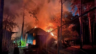 Пожар в новосибирском зоопарке / Фото: прокуратура Новосибирской области