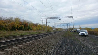 Фото: транспортная полиция Сибири / t.me/utsibfo