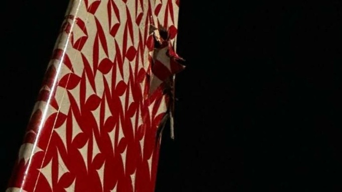 Поврежденный хвост российского самолета Sukhoi Superjet 100 / Фото: Baza