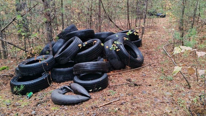 Свалка шин в Ленточном бору / Источник фото: "В курсе 22 | Барнаул"