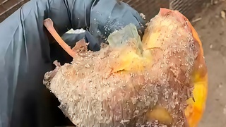 Злополучное яблоко со стеклом / Фото: Новосибирский зоопарк