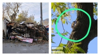 Стихийная свалка и крысы / Фото: "Черное и Белое Барнаул"