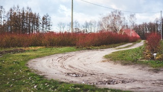 Дорога / Фото: kaboompics / ru.freepik.com