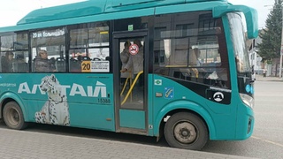 Автобусы в Горно-Алтайске / Фото: amic.ru 