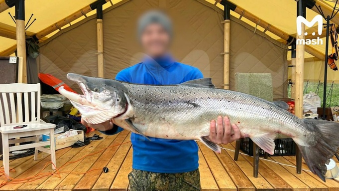 Пойманная крупная рыба / Фото: Mash