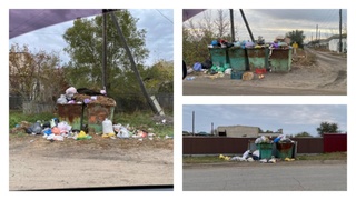 Мусор на улицах села / Фото: "В курсе 22"