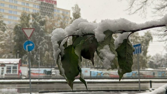 Снег засыпал Барнаул в начале октября / Фото: amic.ru / Екатерина Смолихина