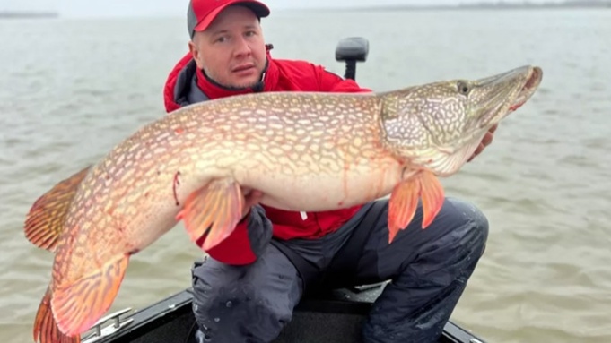 Гигантская щука выловленная из Оби / Фото: VN.ru