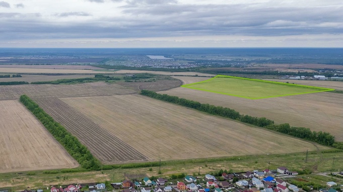 Участок на Павловском тракте / Фото: "Дом.рф"
