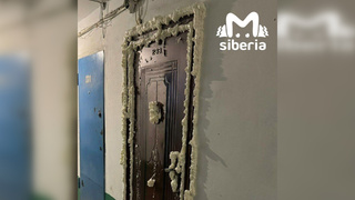 Квартира, из которой выбегают тараканы / Фото: Mash Siberia