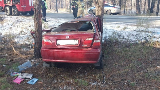 Место смертельного ДТП / Фото: Госавтоинспекция Алтайского края
