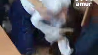 Одна из драк агрессивной девятиклассницы / Кадр из видео: Amur Mash