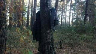 Куртки в лесу /Фото: Telegram-канал "Бийск - мой город"