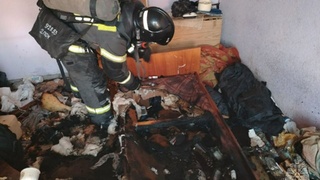 Последствия пожара на Павловском тракте / Фото: МЧС Алтайского края