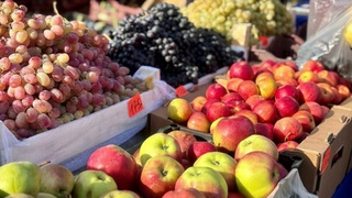 Ярмарка выходного дня / Фото: barnaul.org