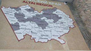 Карта в аэропорту Барнаула / Фото: "Инцидент Барнаул"