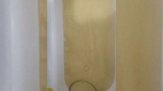 Ванная с грязной желтой водой / Фото: "Инцидент Бийск"