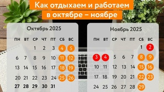 График работы в ноябре / Фото: amic.ru