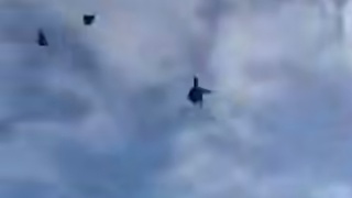 Пойманный воробей в сетке / Кадр из видео: Amur Mash