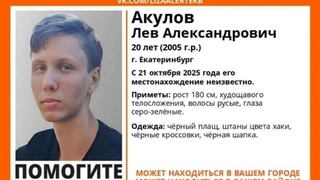 Фото пропавшего / Фото: Поисковое движение "ЛизаАлерт"
