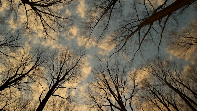 Изображение сгенерировано нейросетью DALL-E